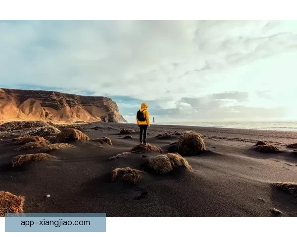 免费汤不热app下载：探索无限可能，点亮你的数字生活！